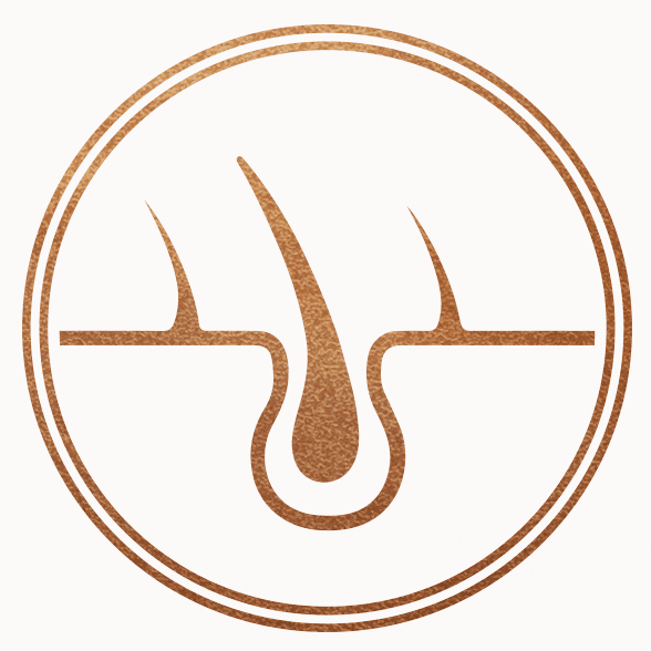 Copper logo of simplified drawing of magnified view of the skin, with hair follicle